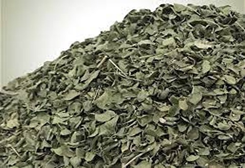 تصویر 2 از خرید آویشن خشک شده + قیمت فروش استثنایی